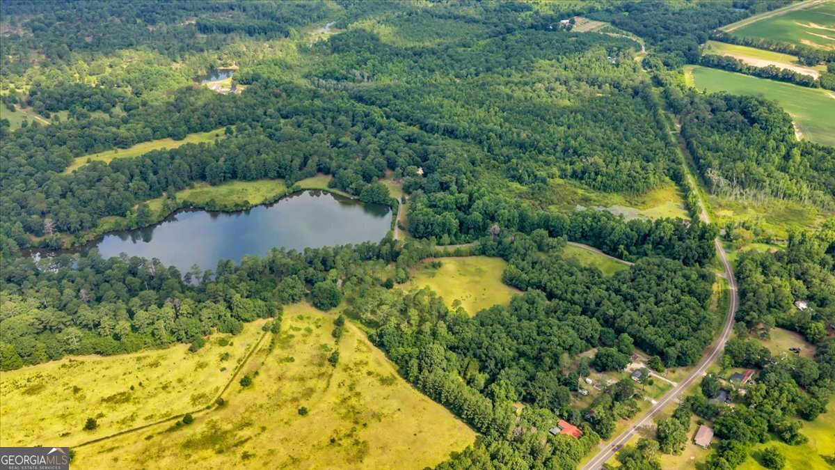 1060 COOKS MILL Road Oglethorpe - Photo 86