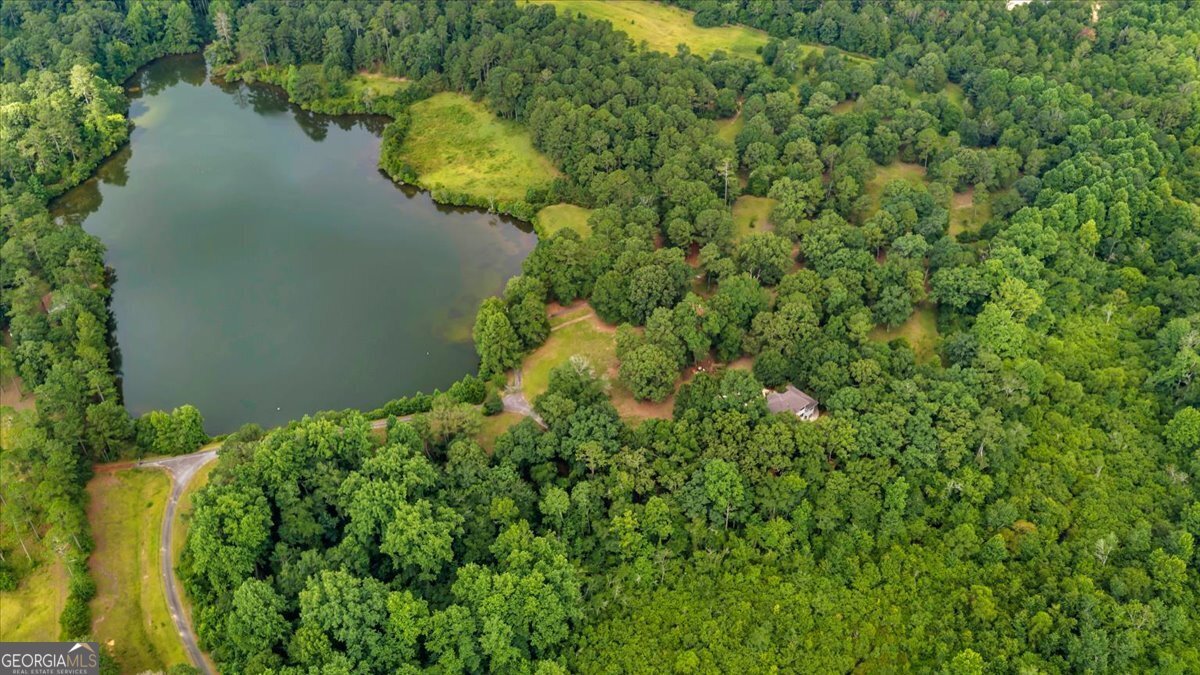 1060 COOKS MILL Road Oglethorpe - Photo 91