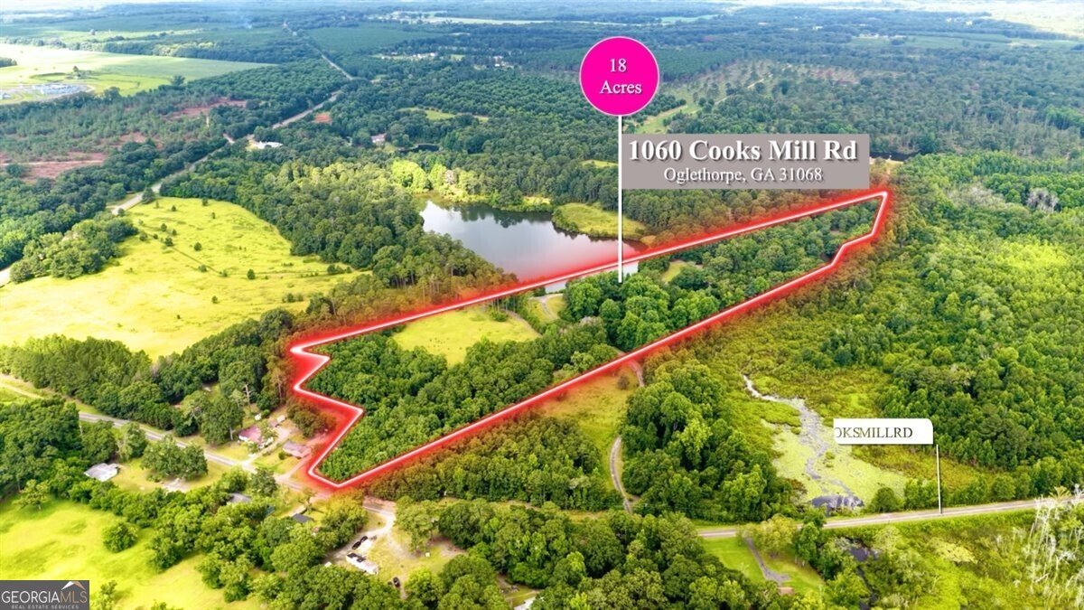 1060 COOKS MILL Road Oglethorpe - Photo 94