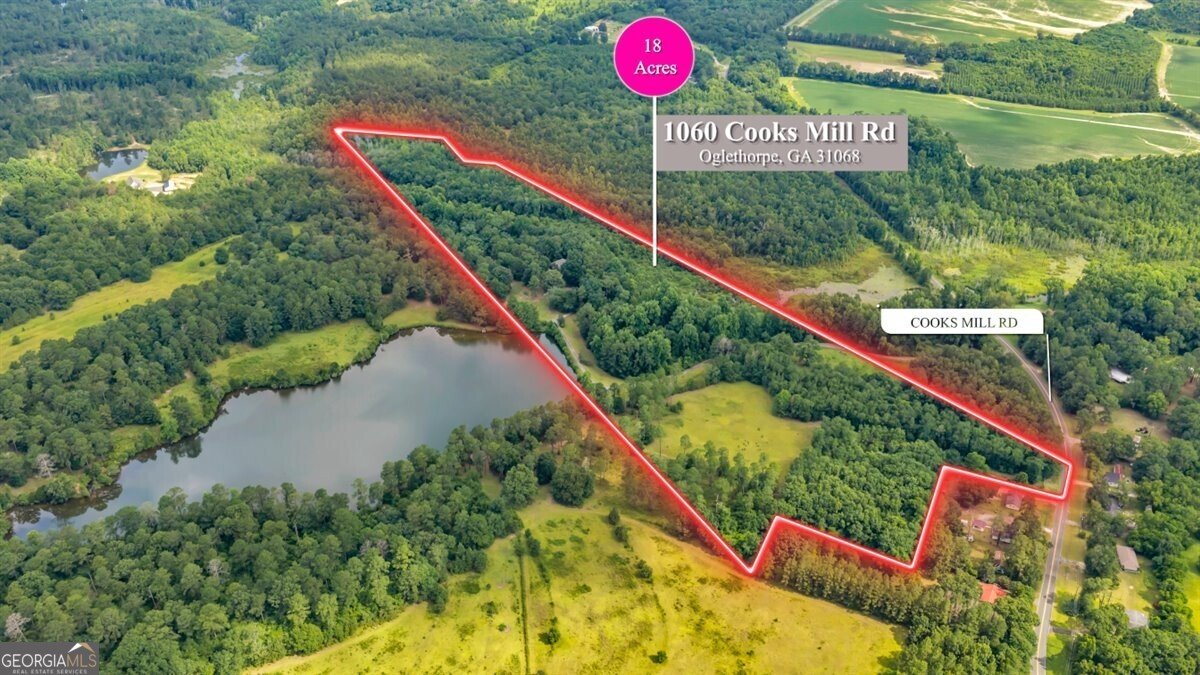 1060 COOKS MILL Road Oglethorpe - Photo 96