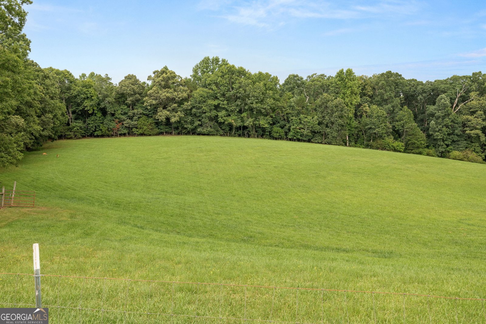 828 Garner Road Cornelia - Photo 61