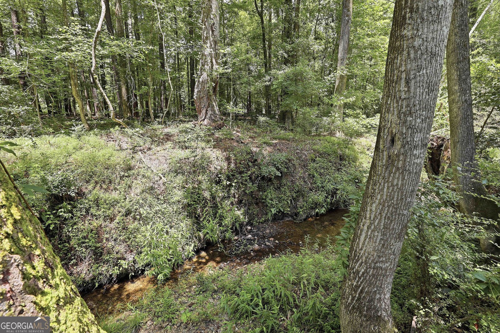 110 Clydesdale Road Peachtree City - Photo 25