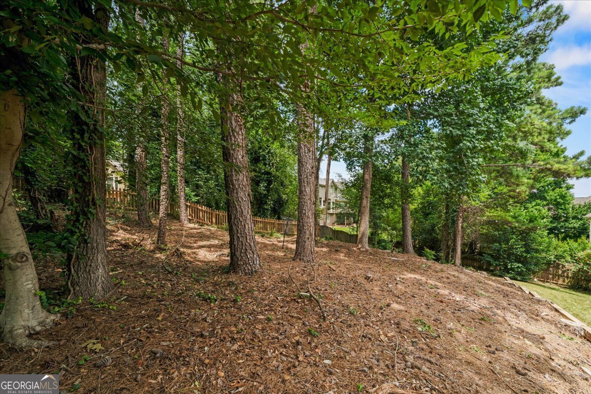5580 Hillbrooke Trace Alpharetta - Photo 48