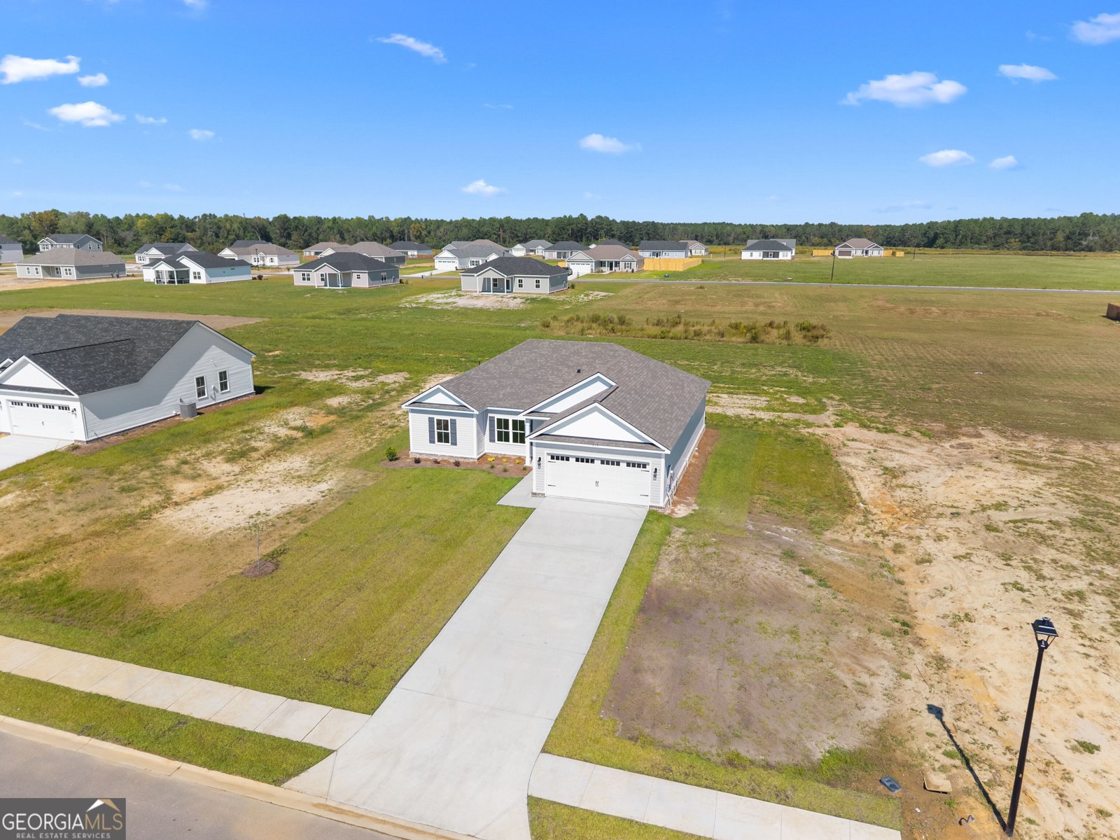 219 Aunt Bee Boulevard Statesboro - Photo 26