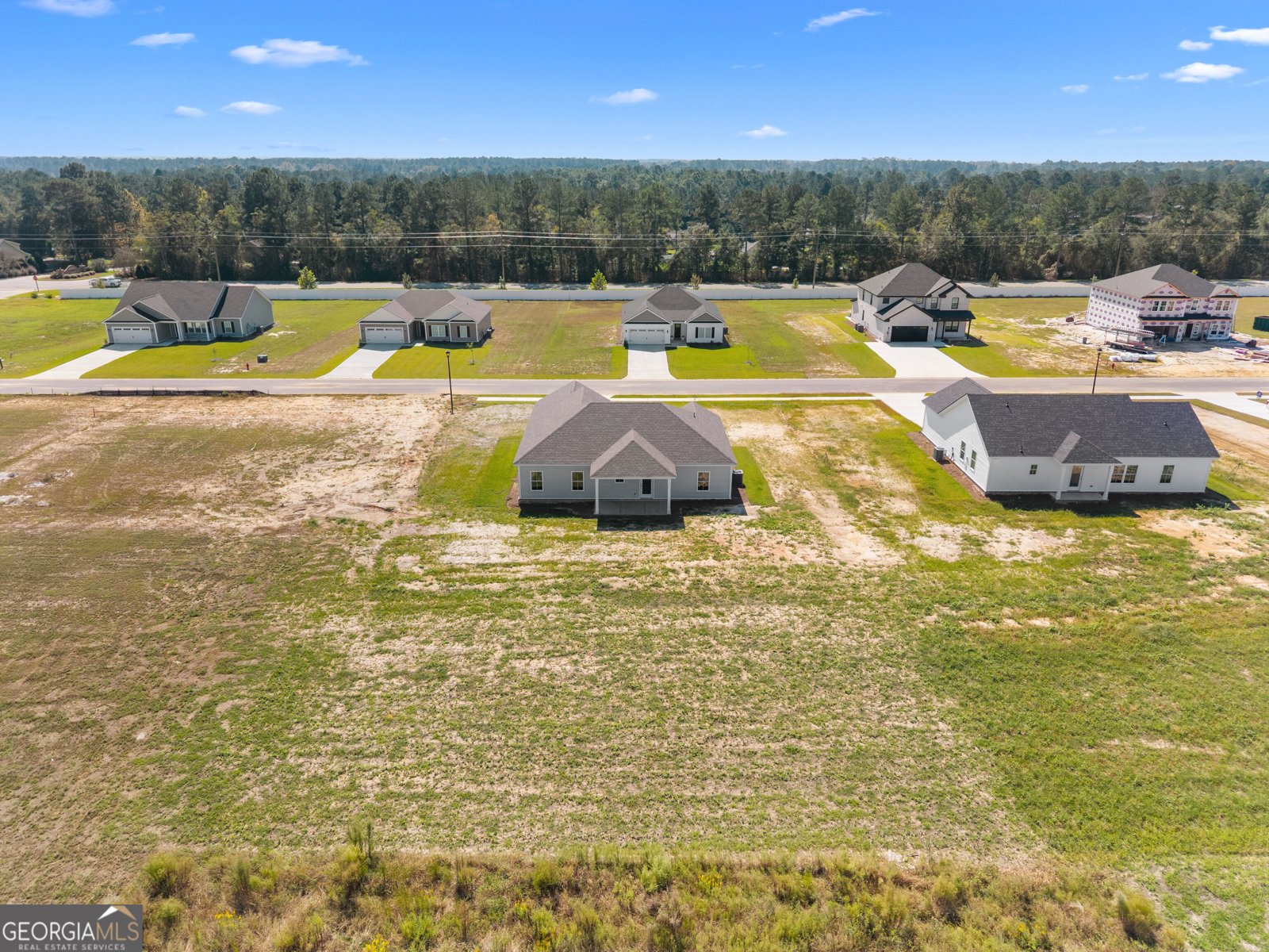 219 Aunt Bee Boulevard Statesboro - Photo 28