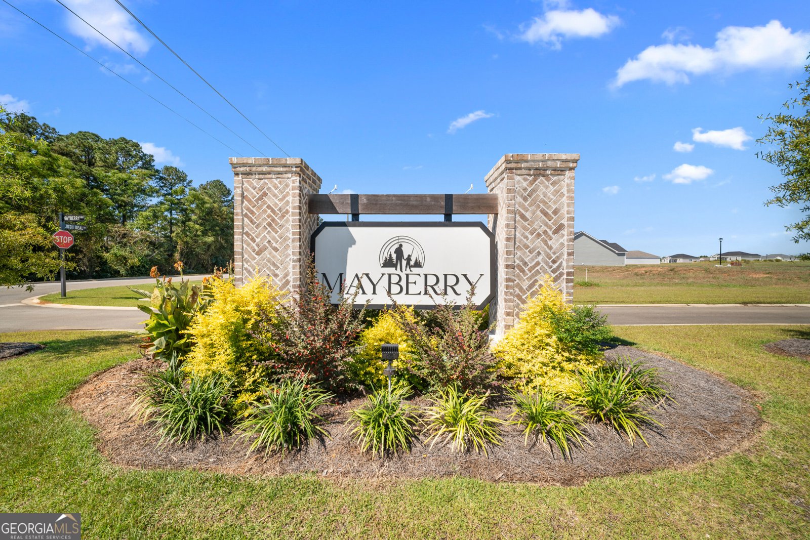 219 Aunt Bee Boulevard Statesboro - Photo 32