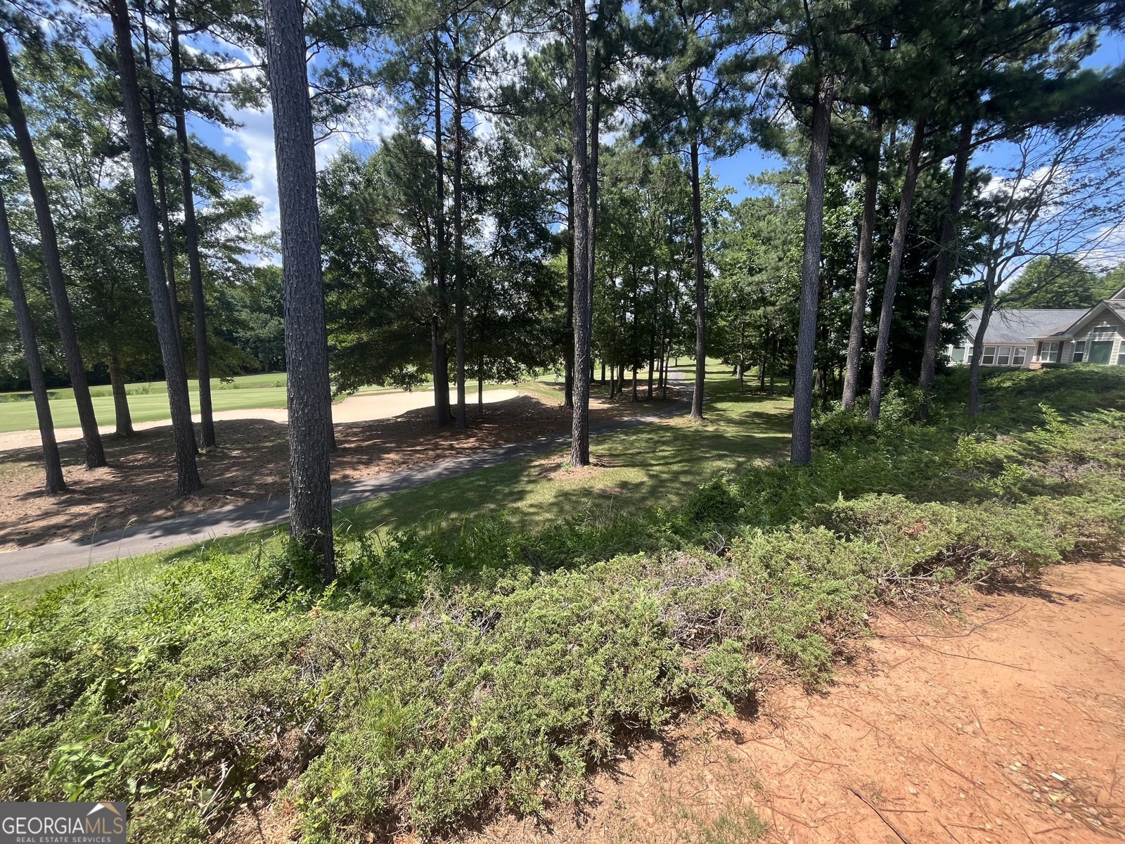 120 Cottage Club Dr Locust Grove - Photo 14