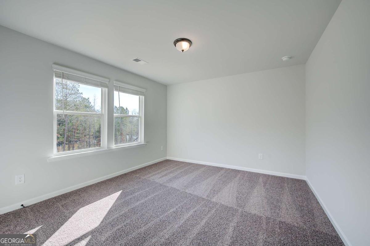 901 Kranston Drive Locust Grove - Photo 19