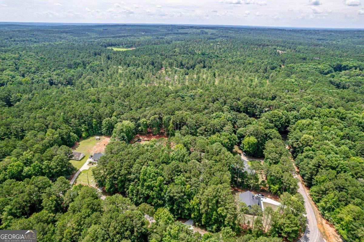 372 East Riverbend Drive Eatonton - Photo 40