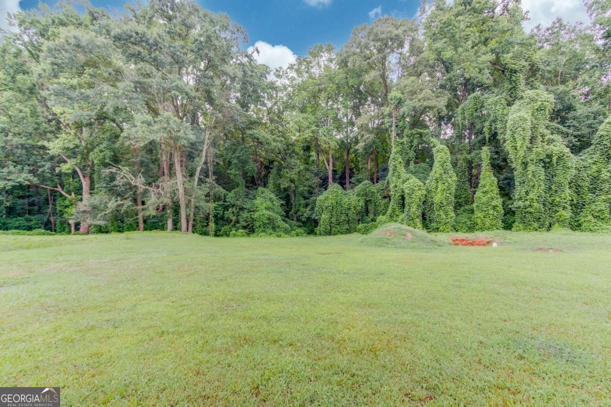 492 Gumlog Creek Road Martin - Photo 37