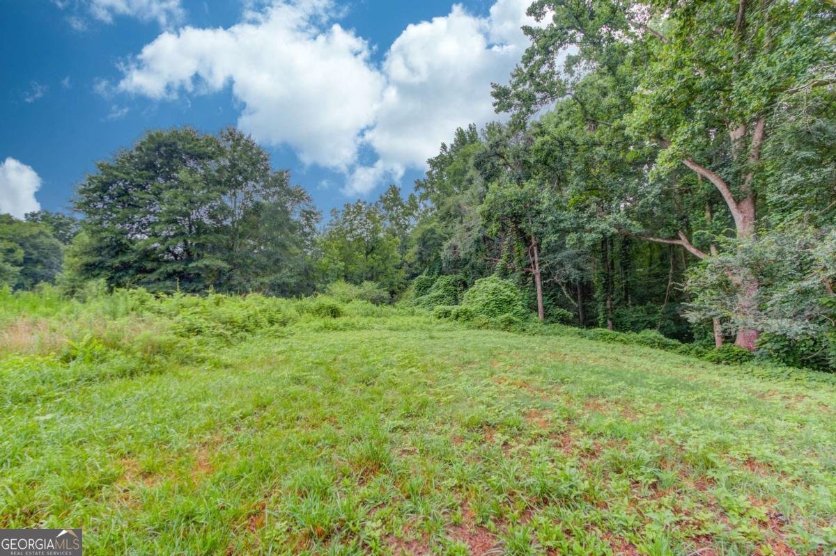 492 Gumlog Creek Road Martin - Photo 40