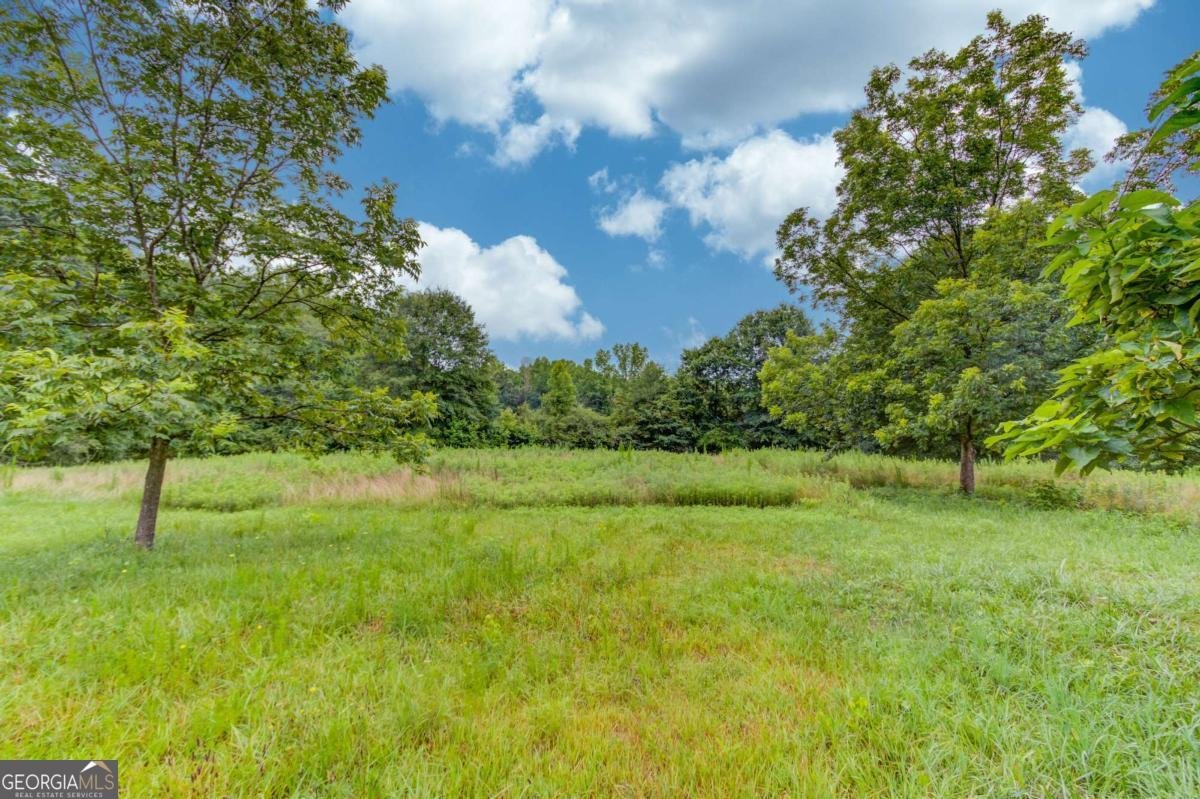492 Gumlog Creek Road Martin - Photo 41