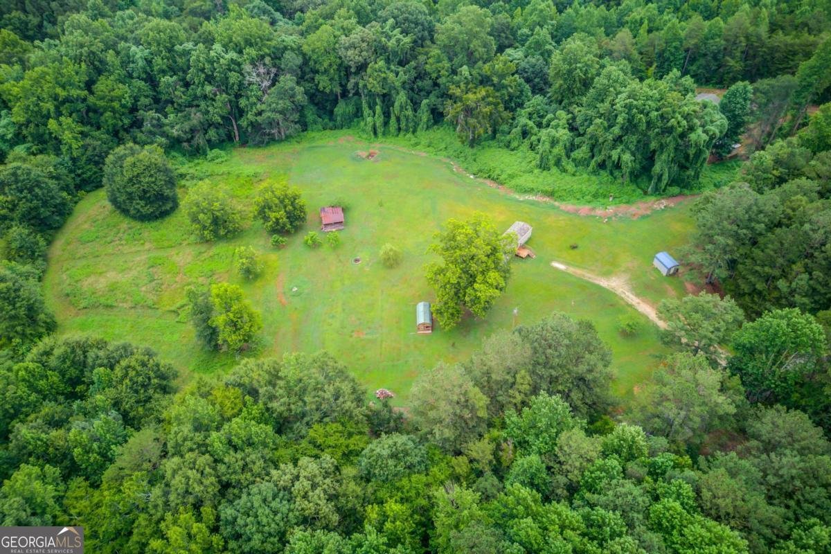 492 Gumlog Creek Road Martin - Photo 42