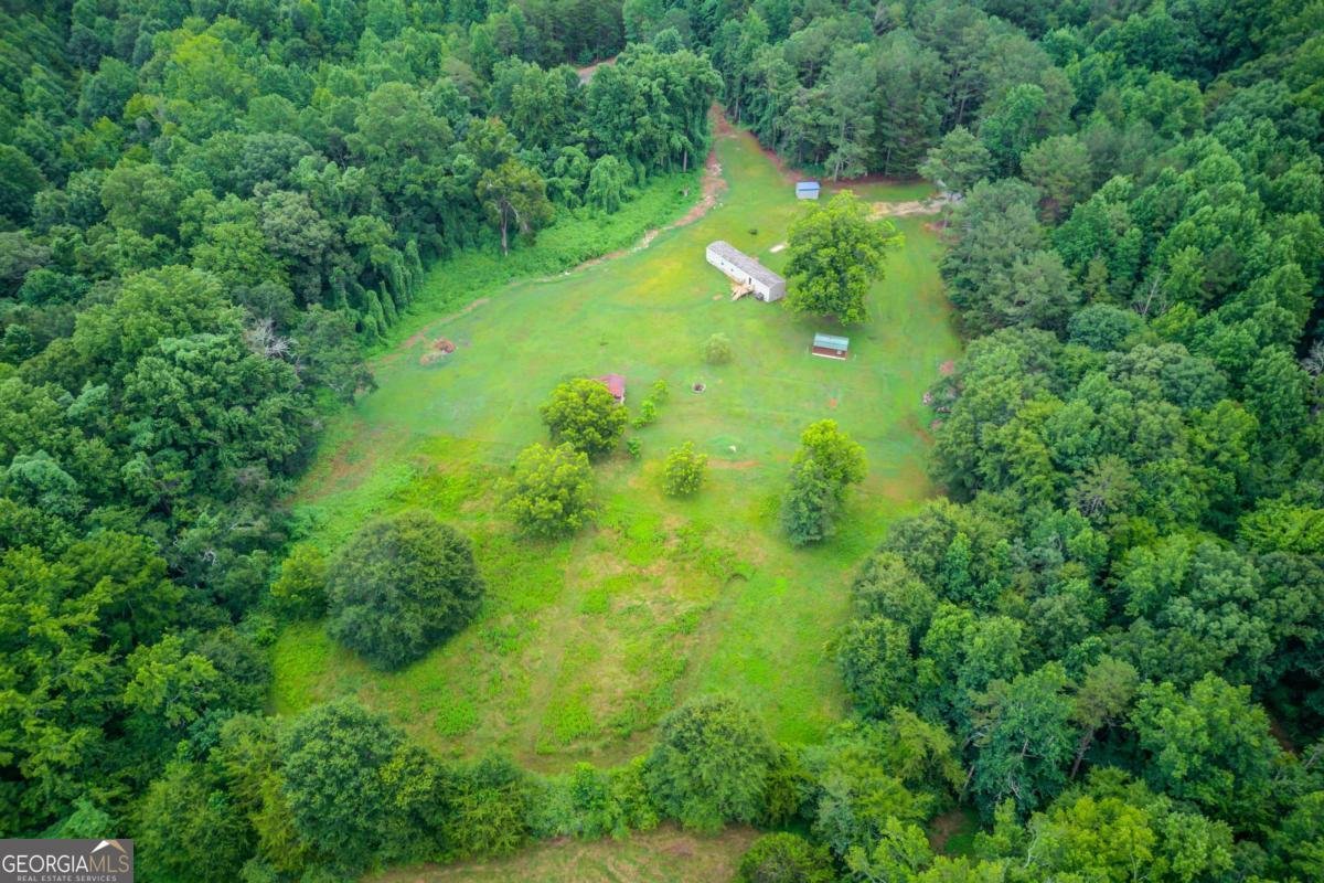 492 Gumlog Creek Road Martin - Photo 43