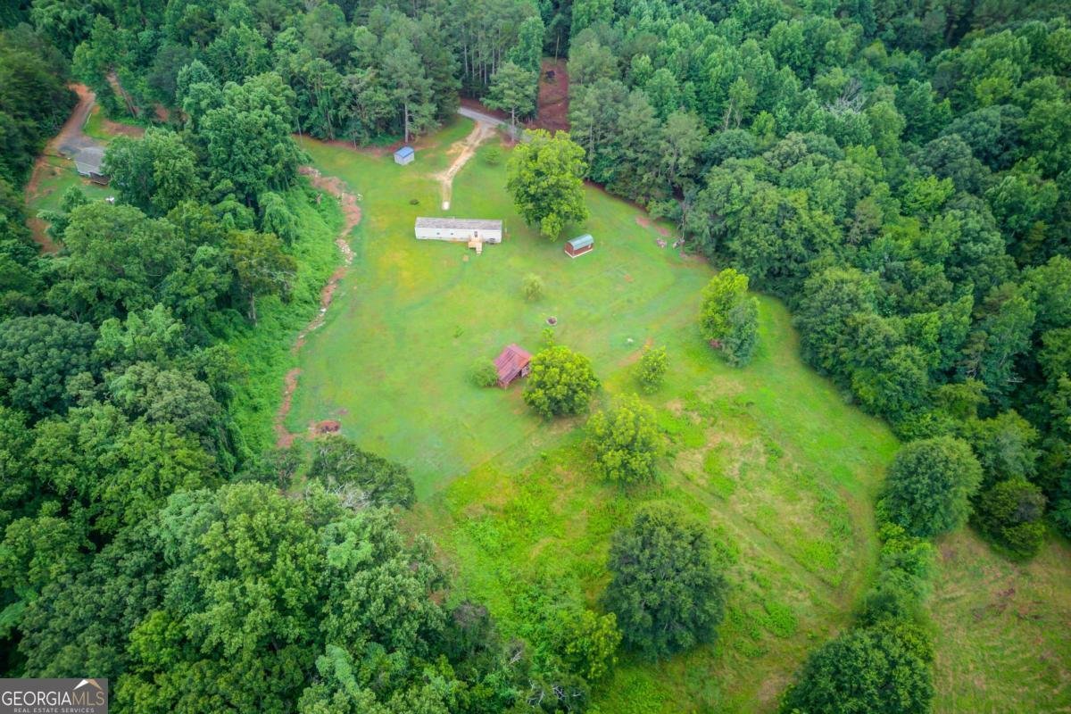 492 Gumlog Creek Road Martin - Photo 44