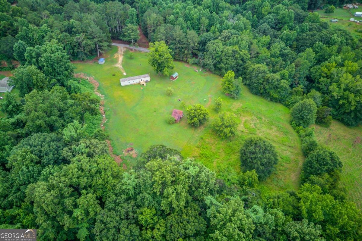 492 Gumlog Creek Road Martin - Photo 45