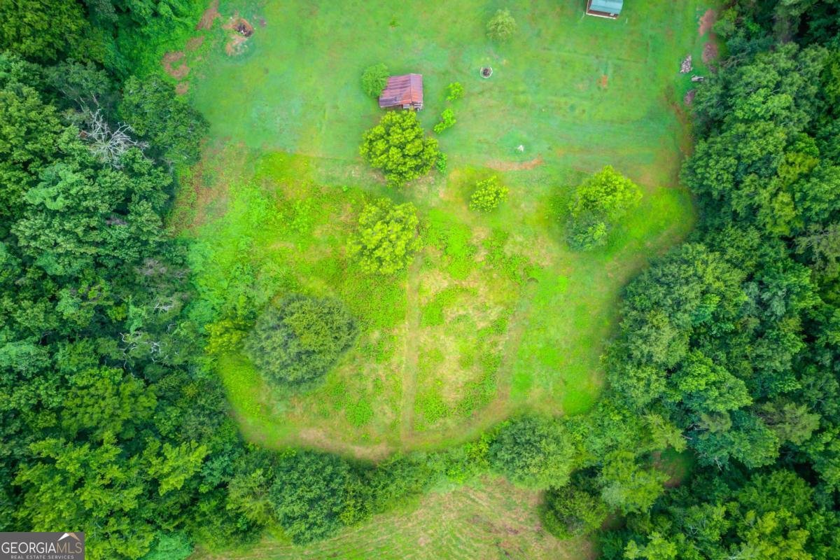 492 Gumlog Creek Road Martin - Photo 48