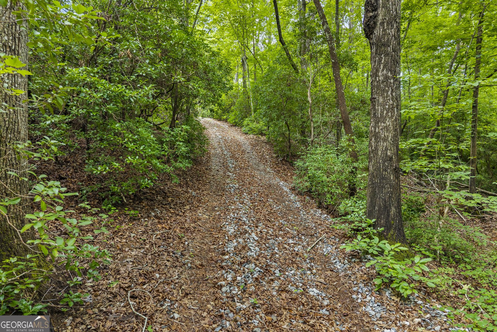 3014 Prather Bridge Road Toccoa - Photo 10
