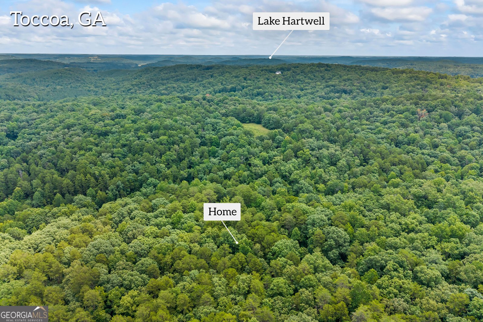 3014 Prather Bridge Road Toccoa - Photo 100