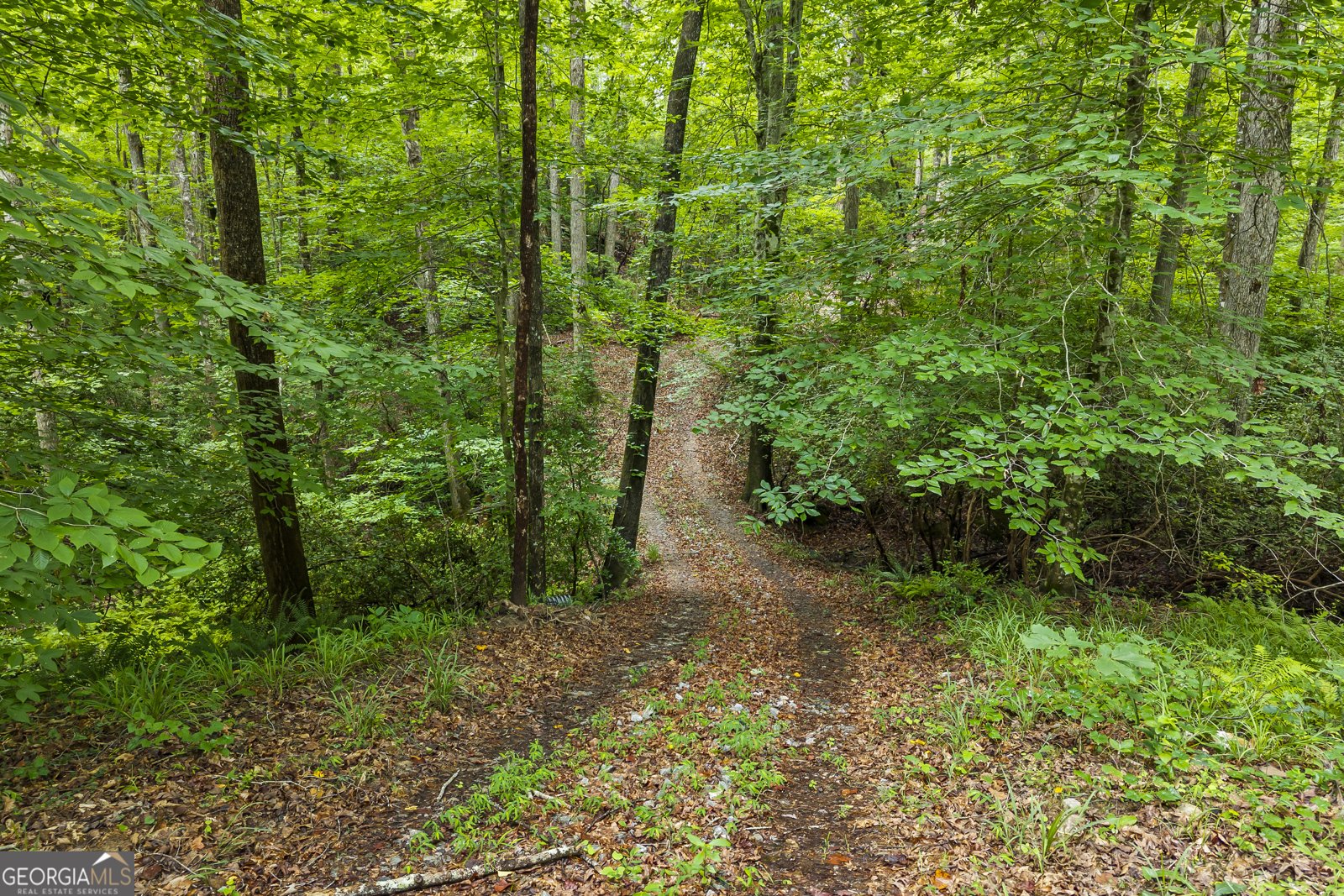 3014 Prather Bridge Road Toccoa - Photo 65