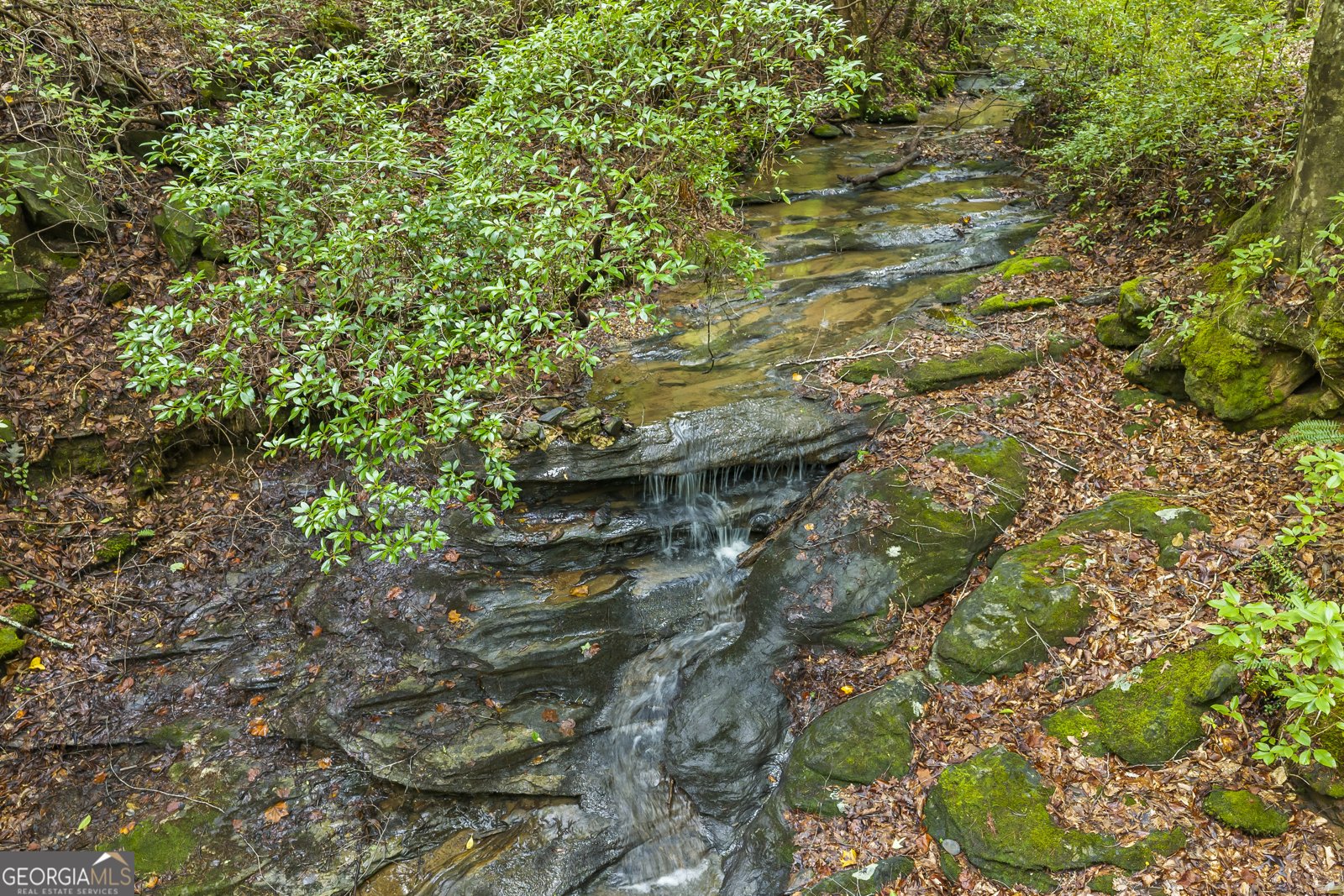 3014 Prather Bridge Road Toccoa - Photo 9