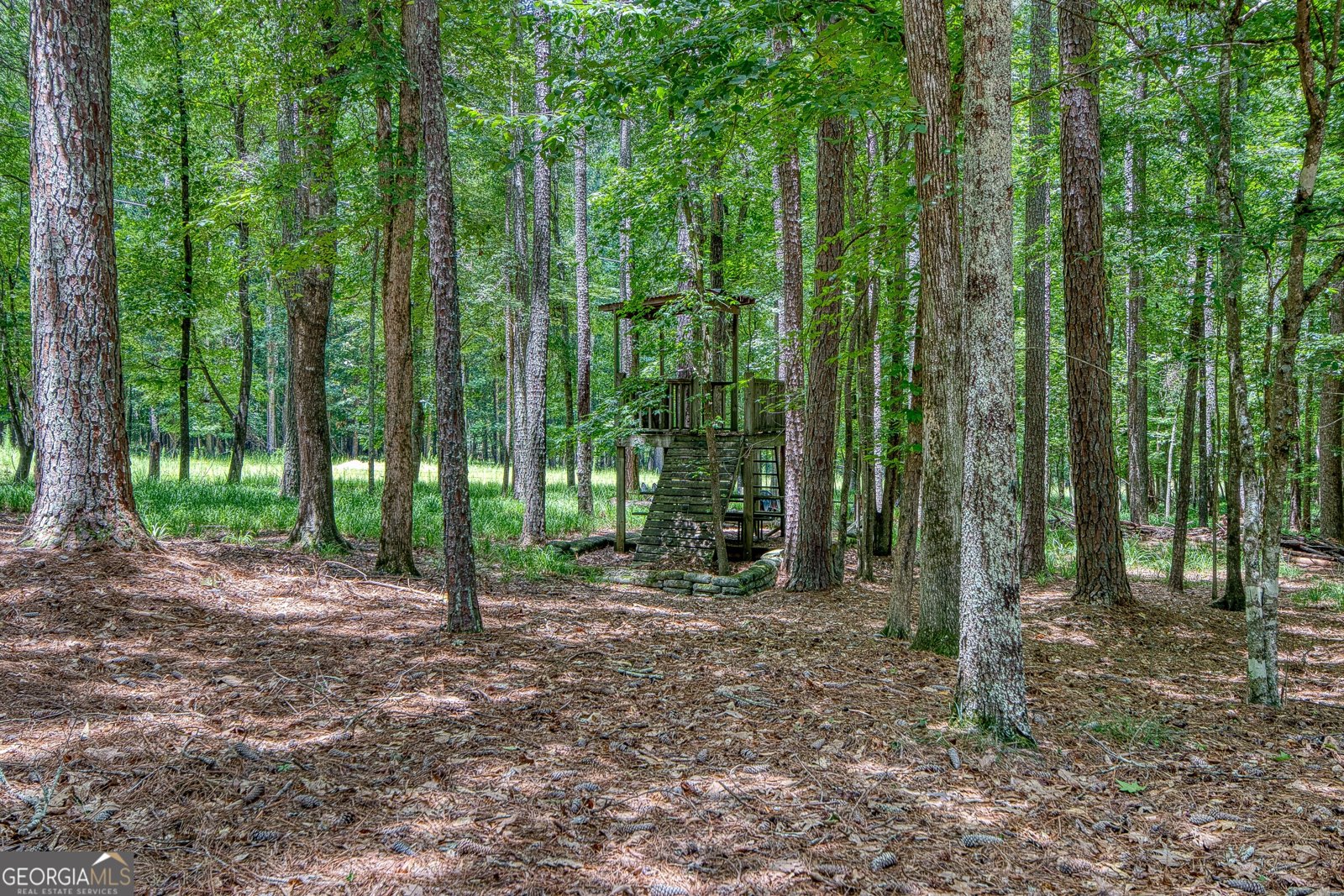 145 Cottonmill Court Fayetteville - Photo 92