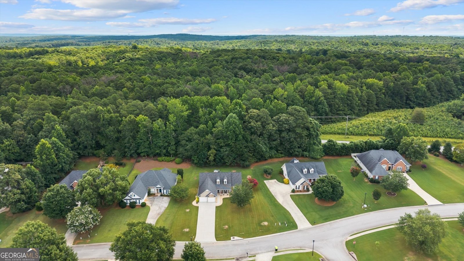 117 Jasmine Way Villa Rica - Photo 46