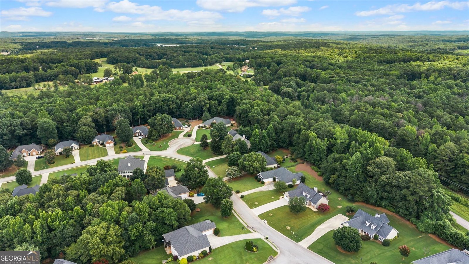 117 Jasmine Way Villa Rica - Photo 47