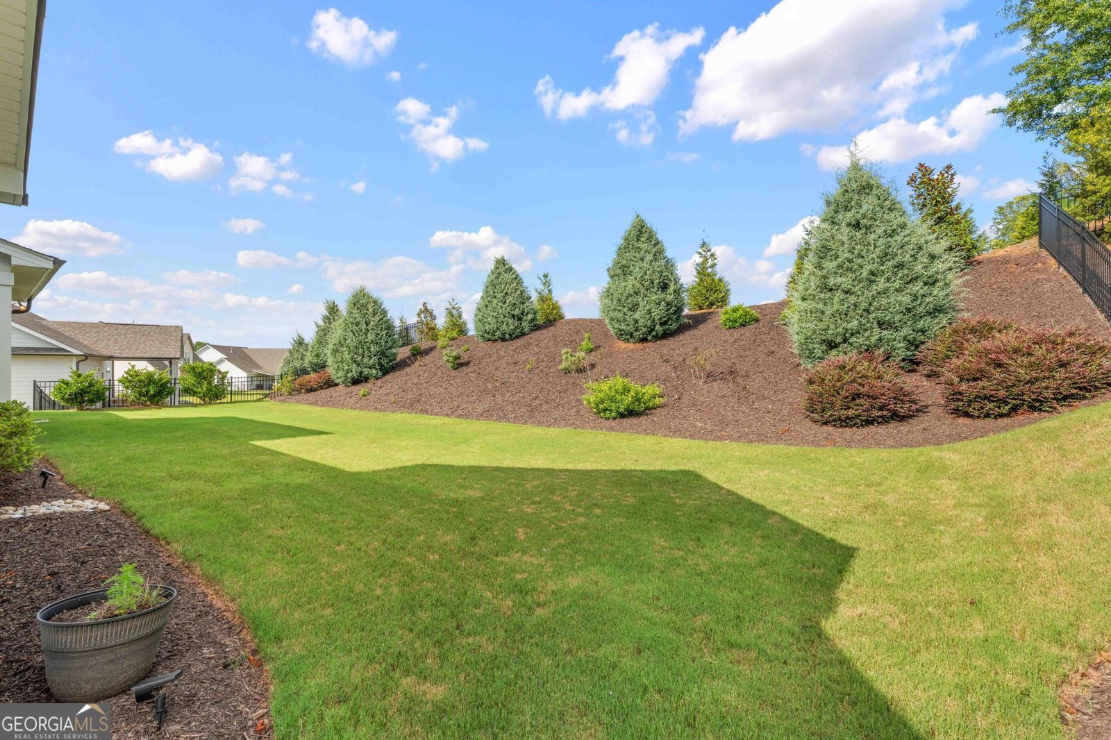 170 Werner Way Senoia - Photo 46