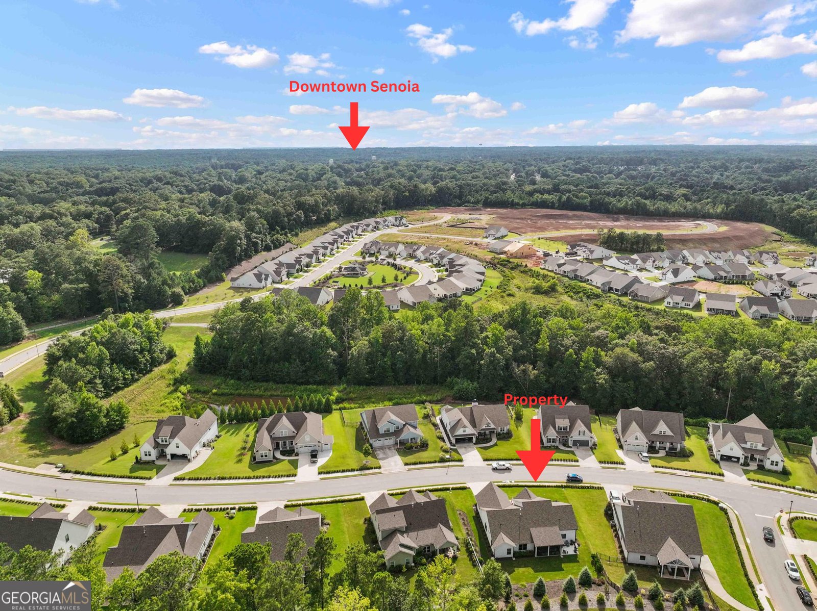 170 Werner Way Senoia - Photo 6
