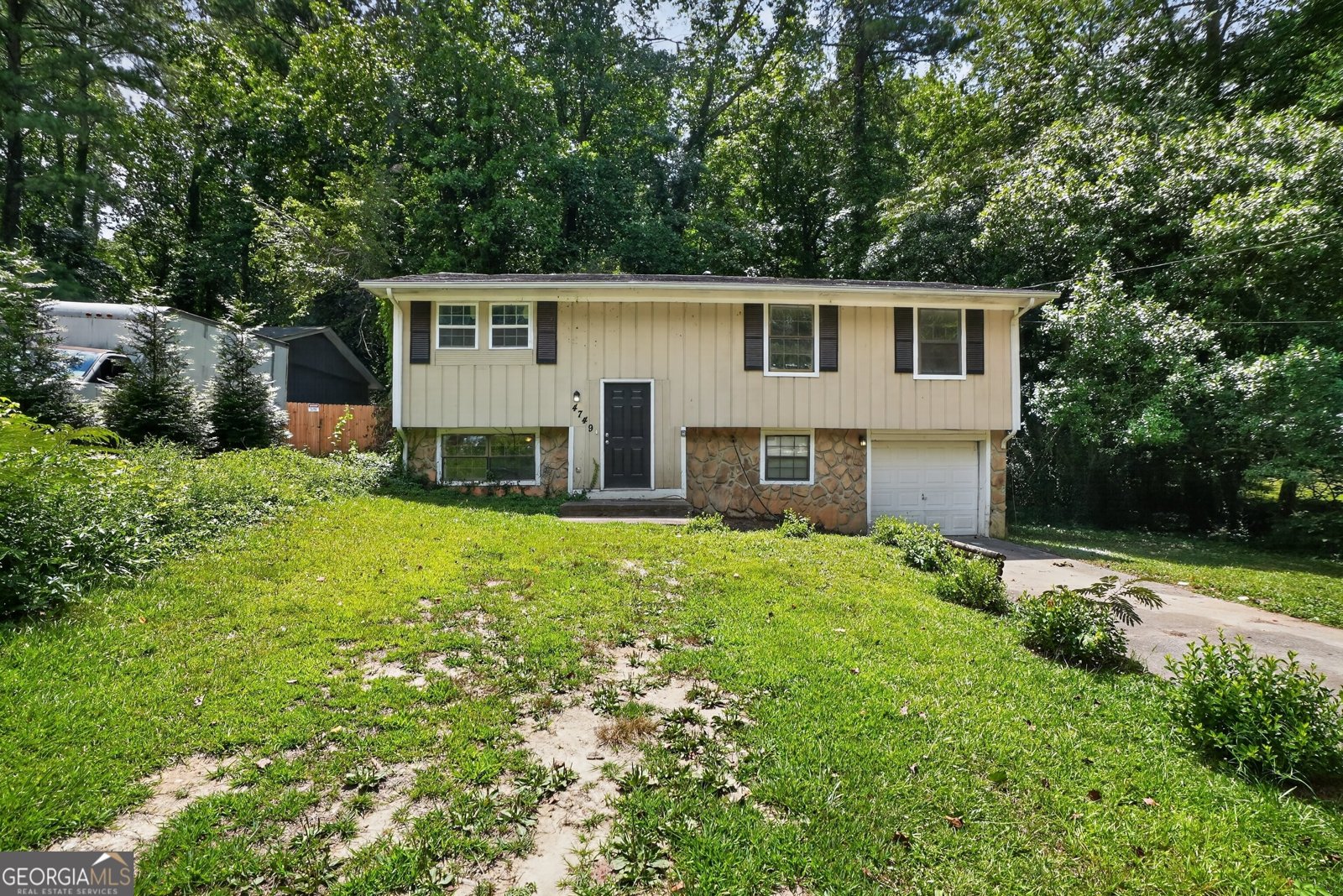 Photo 5