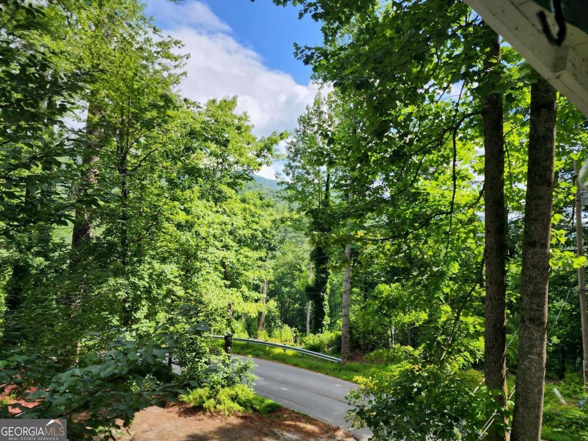 654 Low Gap Road Lakemont - Photo 57