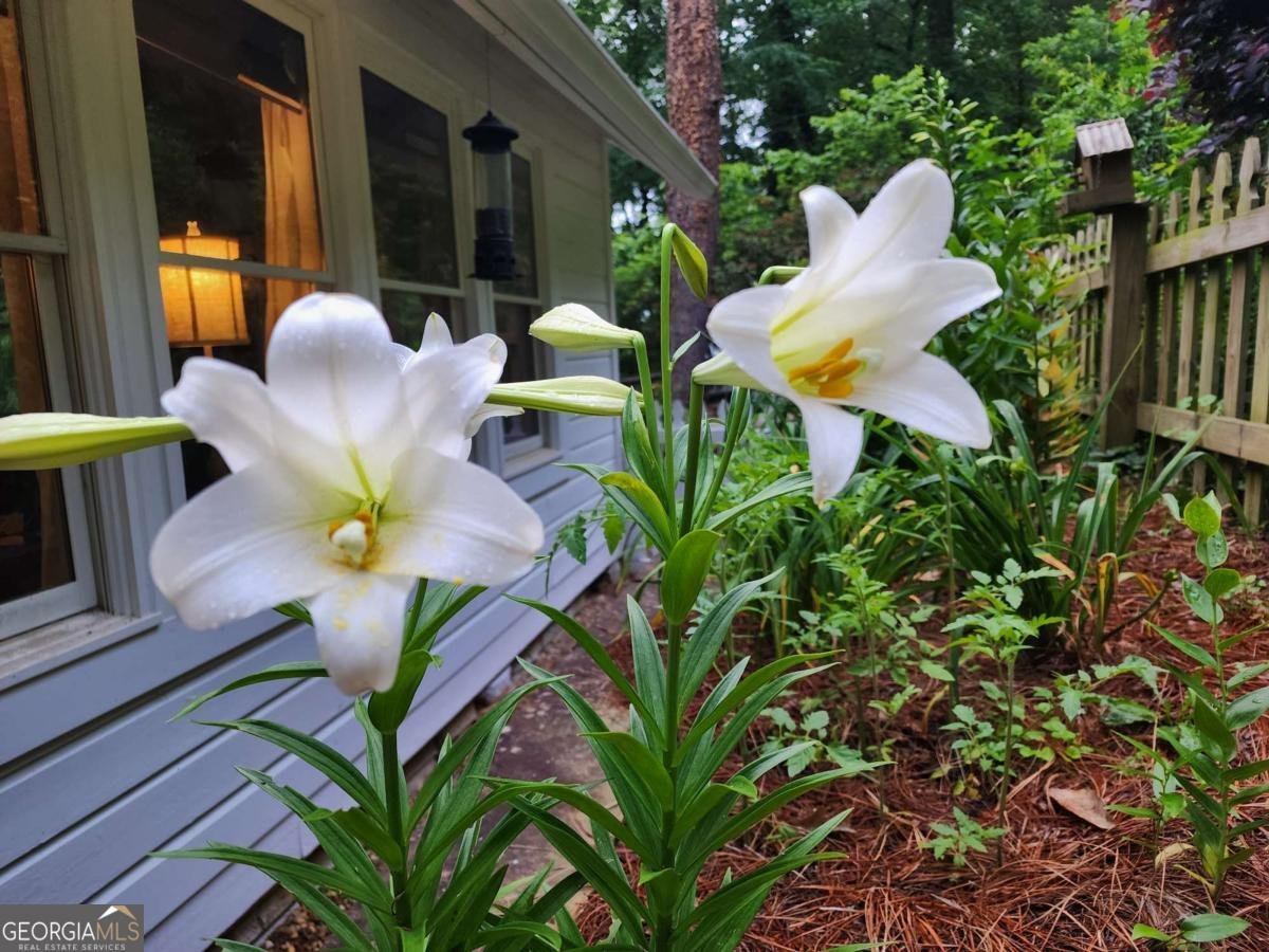 654 Low Gap Road Lakemont - Photo 81