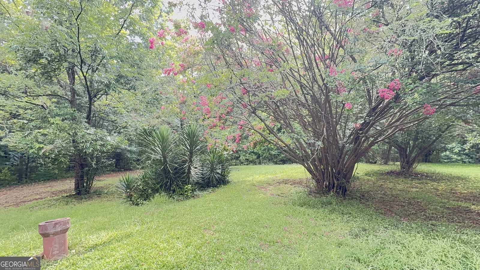 155 Skyview Road Senoia - Photo 19