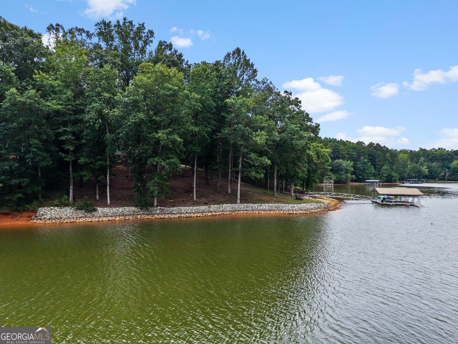 201 Hickory Hill Lane Martin - Photo 33