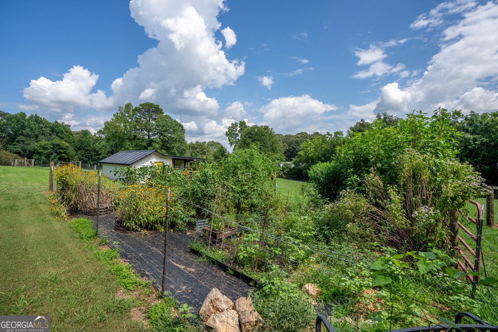 7625 County Line Road Lula - Photo 83