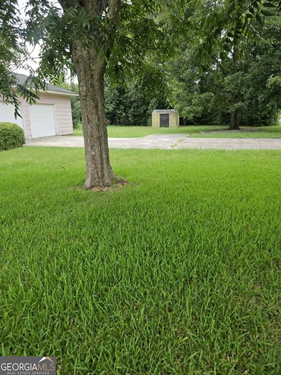 168 Lakeview Church Road Cochran - Photo 6