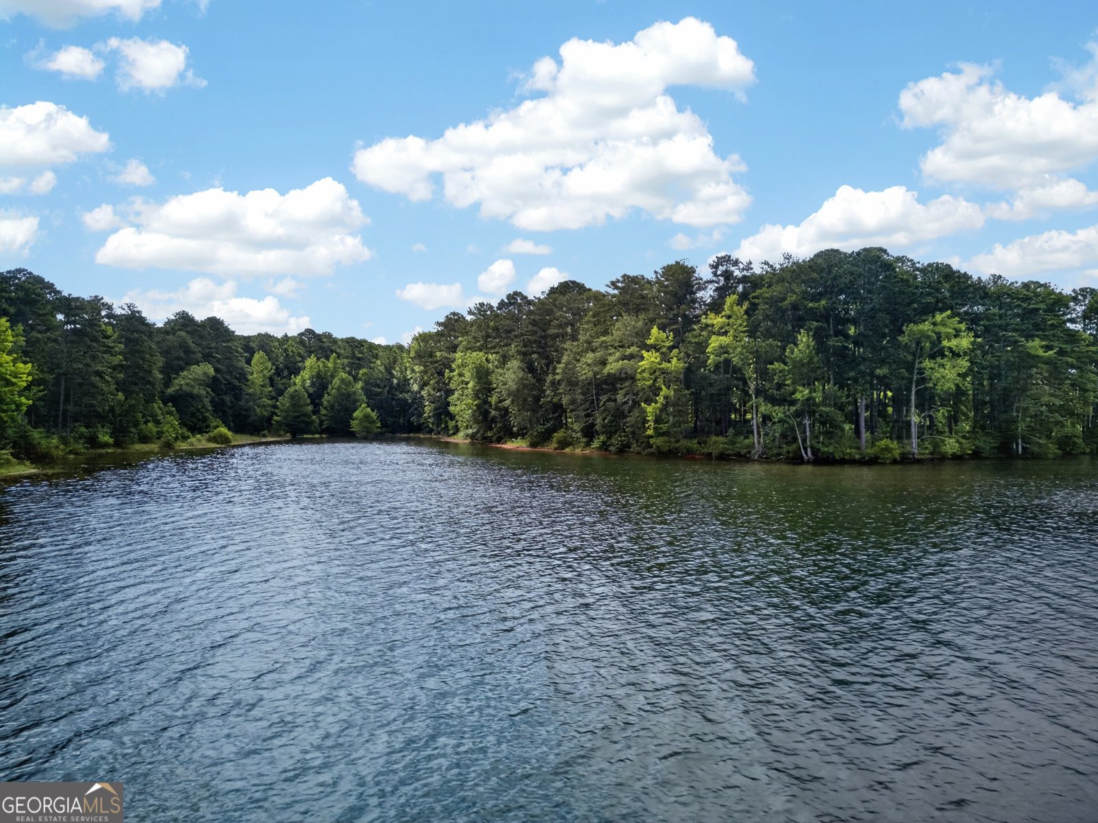 5801 West Point Road Lagrange - Photo 46