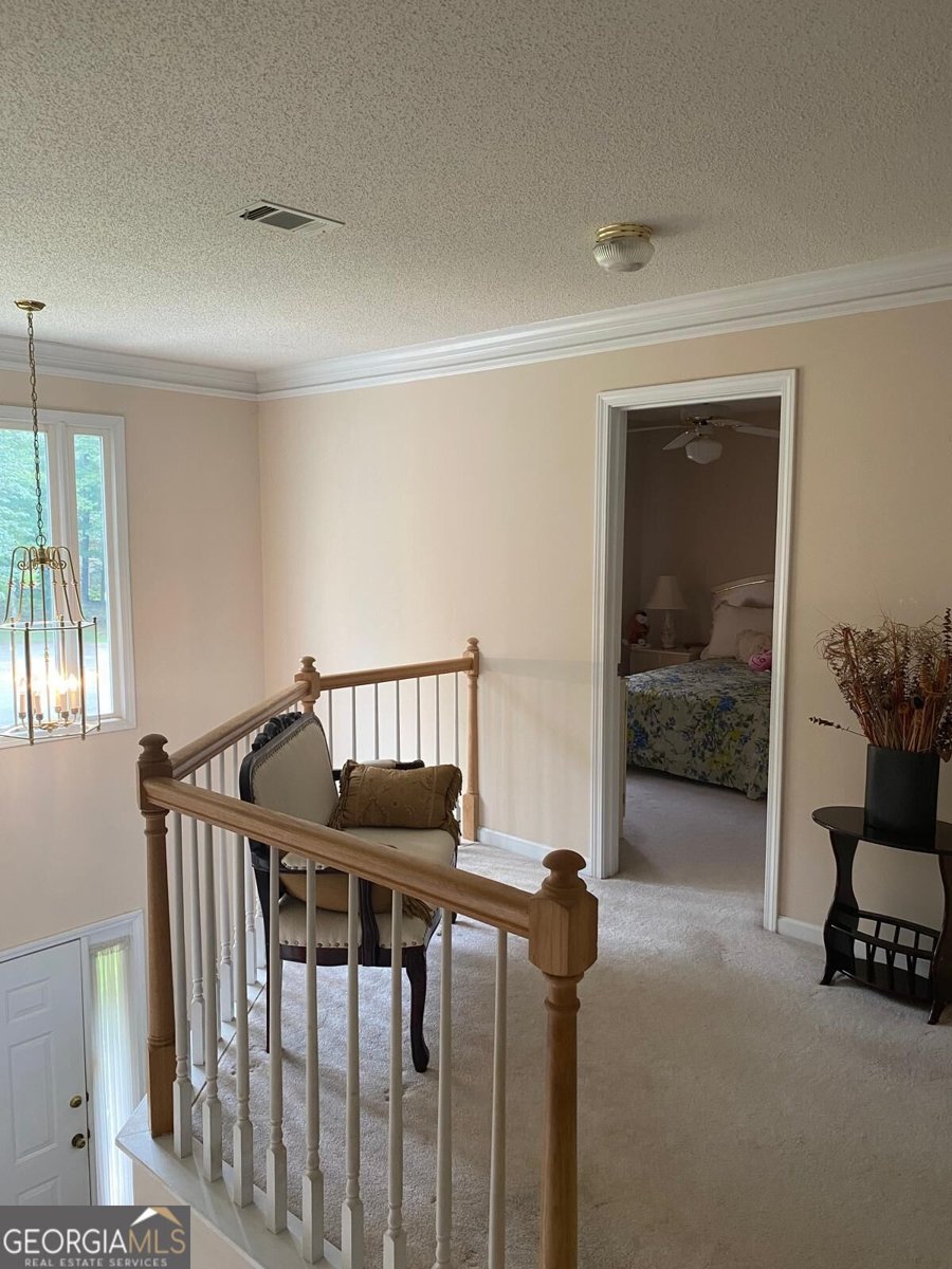 285 Mosby Woods Drive Newnan - Photo 15
