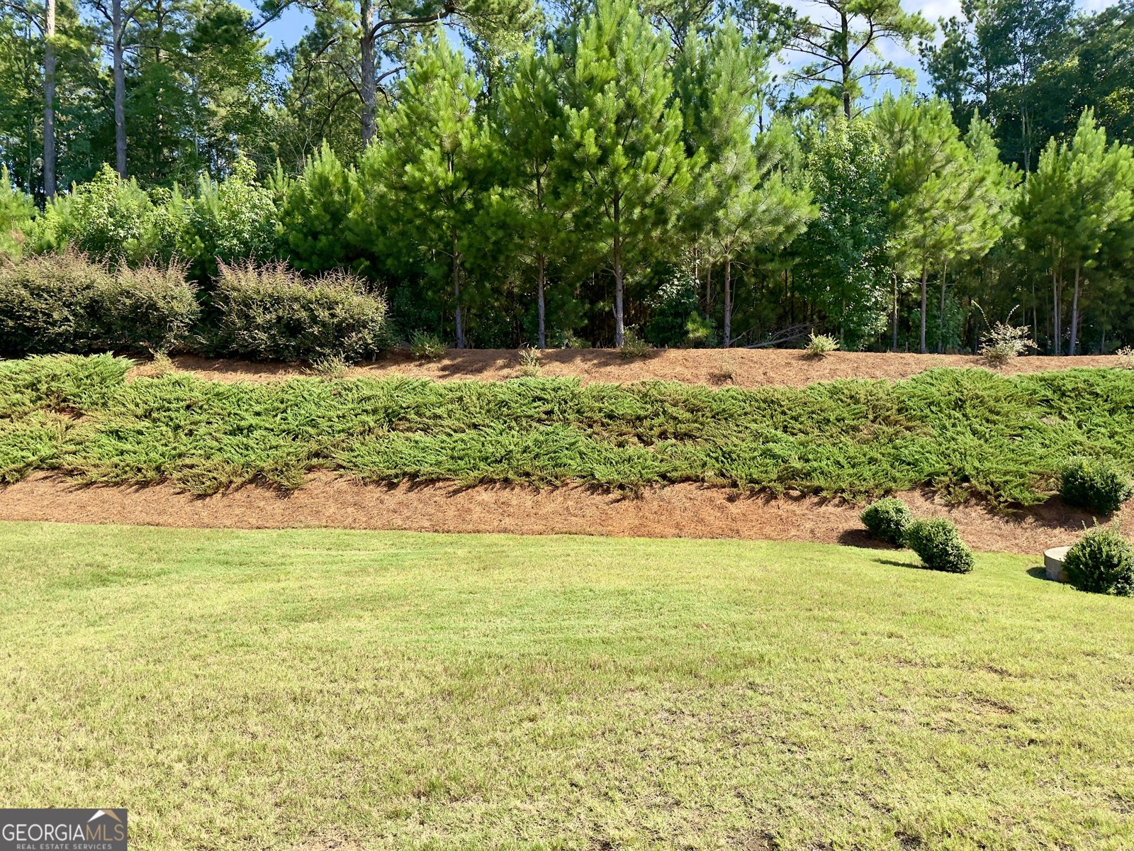313 Duplin Drive Griffin - Photo 8