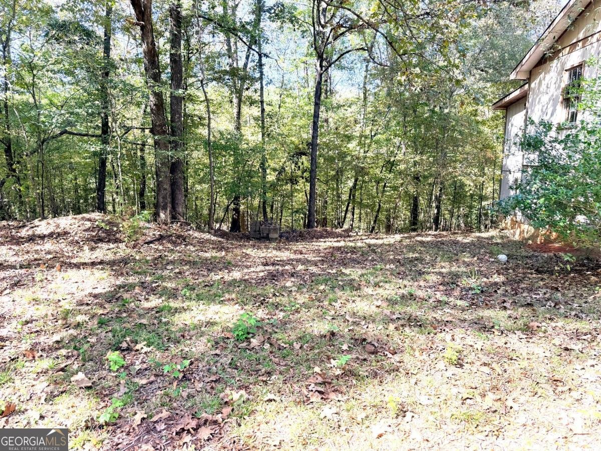 0 Towaliga South Road Jackson - Photo 16