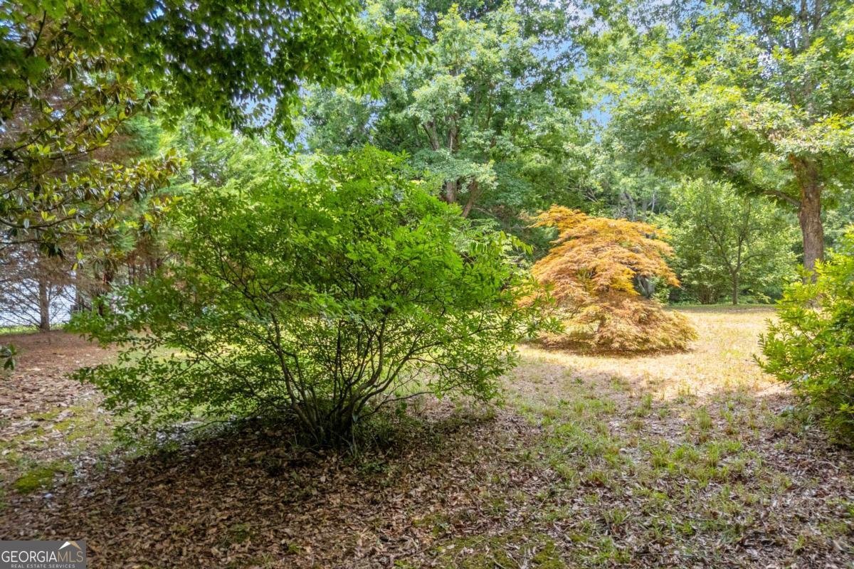 4389 Center Hill Church Road Loganville - Photo 51
