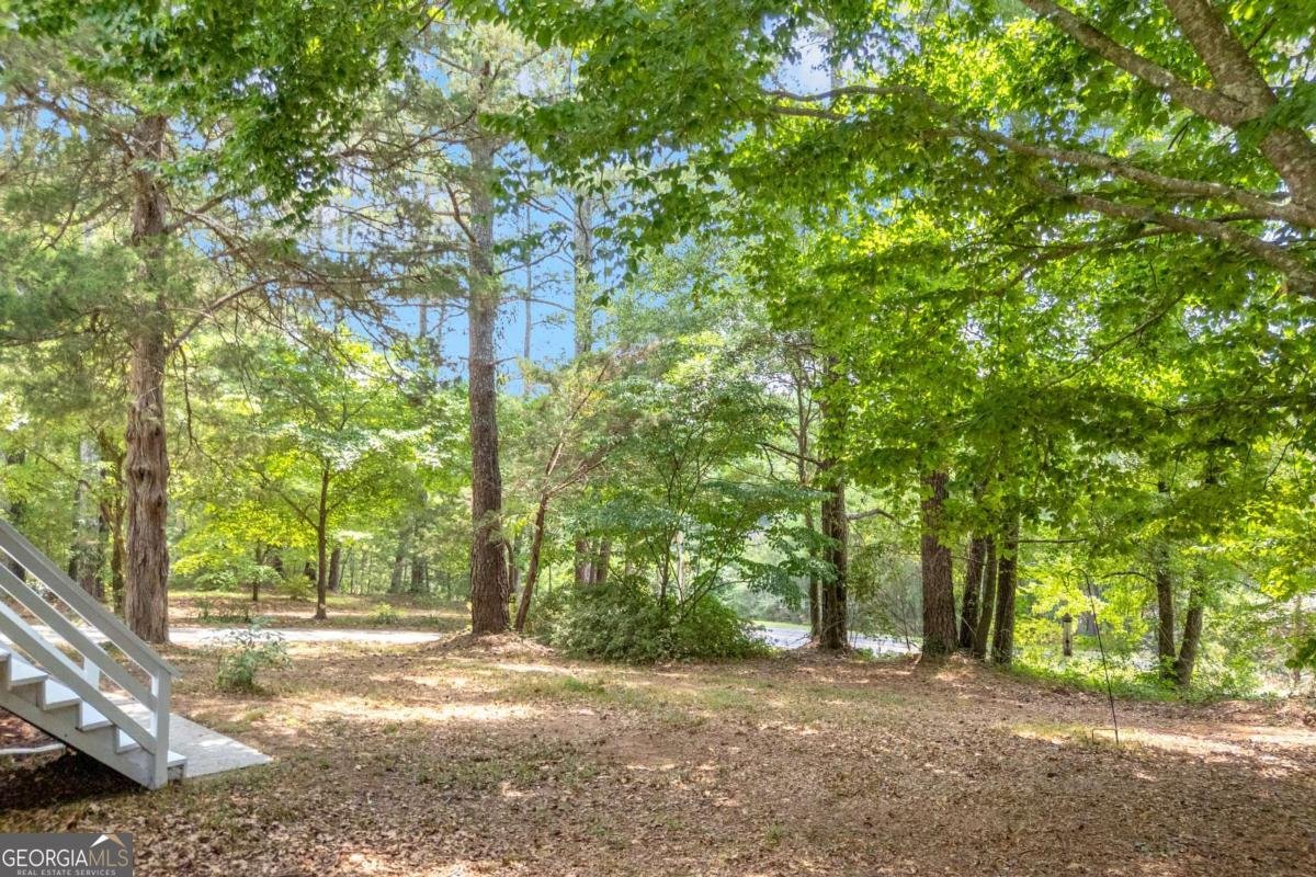 4389 Center Hill Church Road Loganville - Photo 52