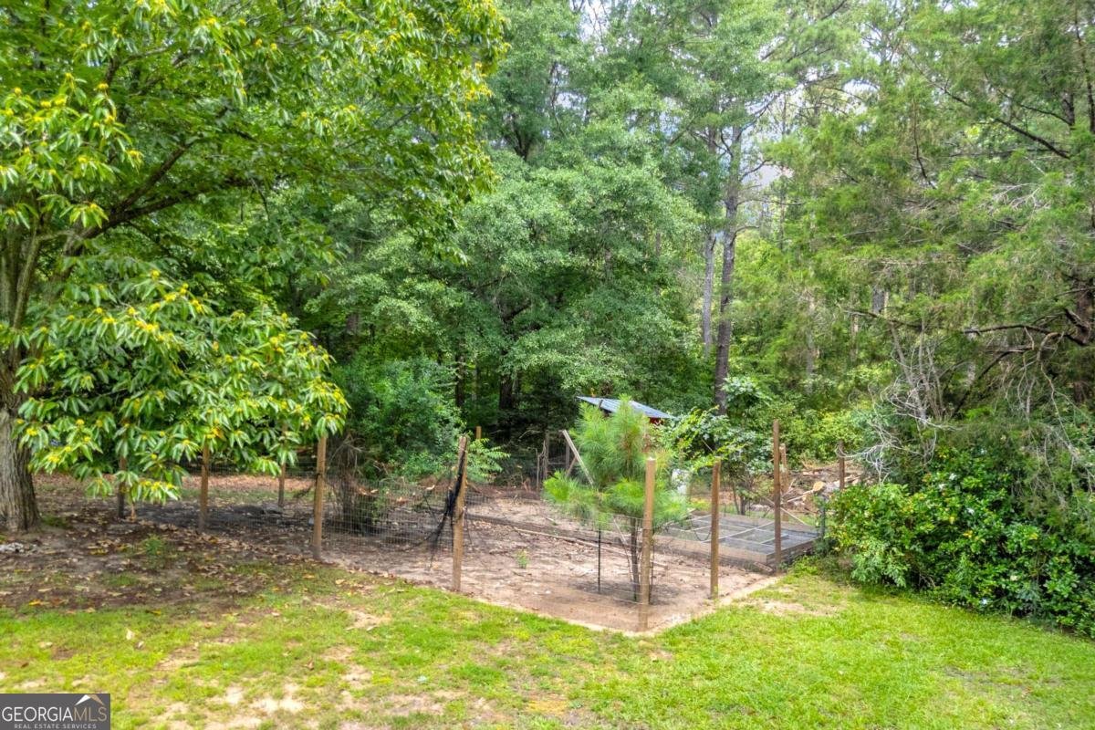 4389 Center Hill Church Road Loganville - Photo 53