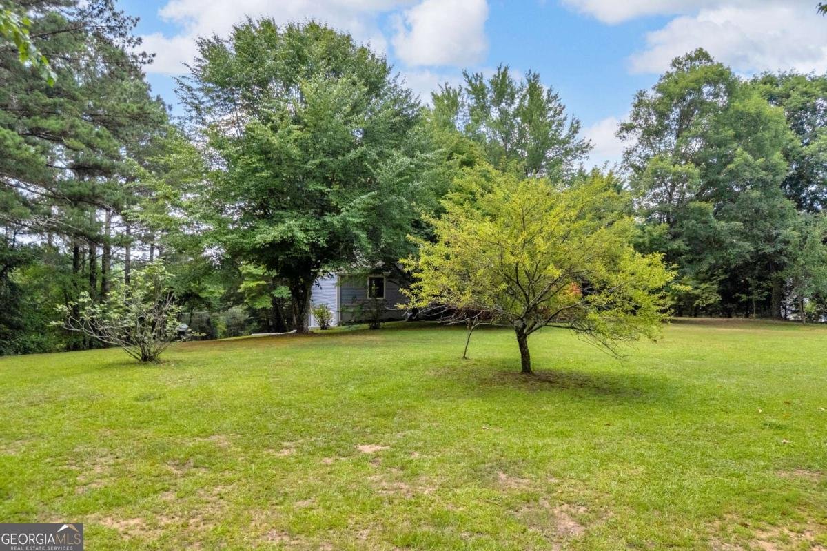 4389 Center Hill Church Road Loganville - Photo 54