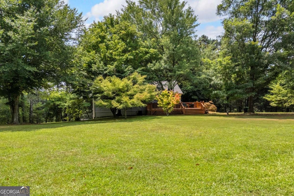 4389 Center Hill Church Road Loganville - Photo 56