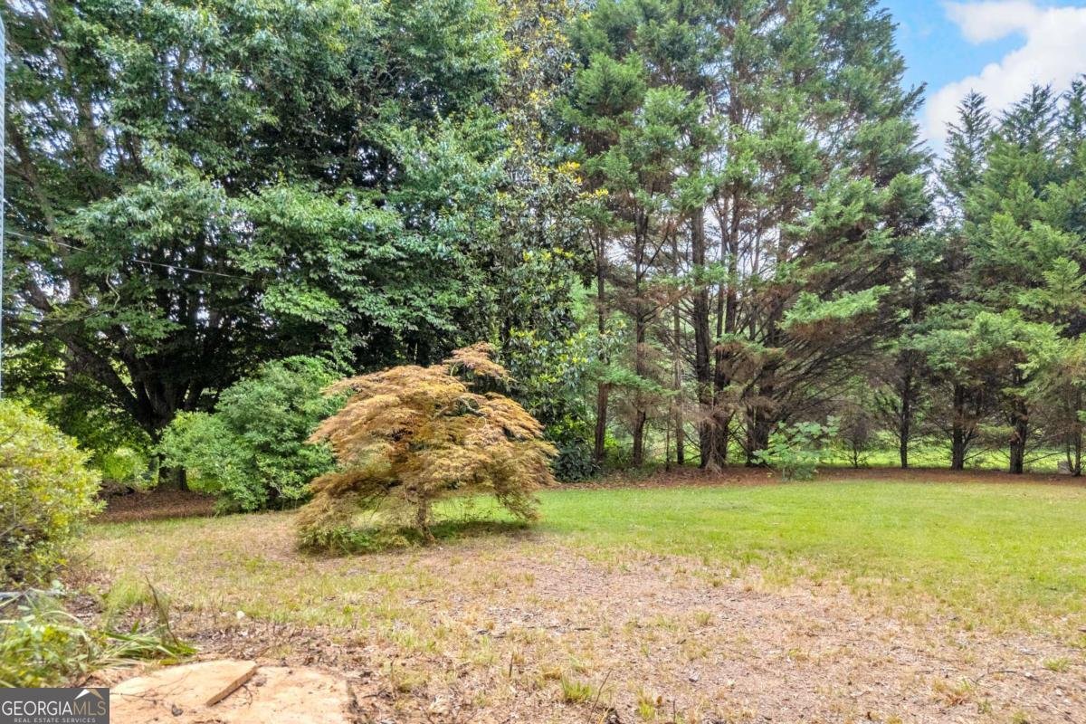 4389 Center Hill Church Road Loganville - Photo 57
