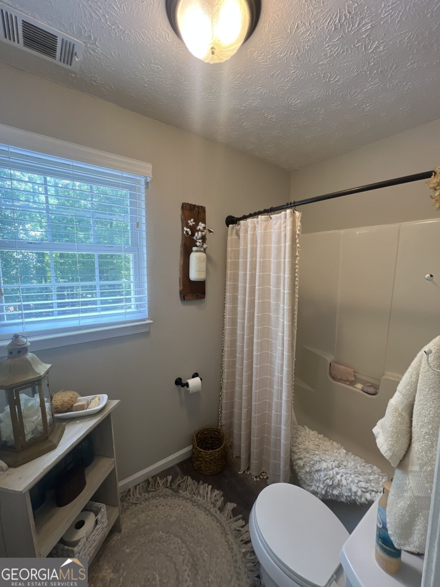 385 Minix Road Sharpsburg - Photo 36