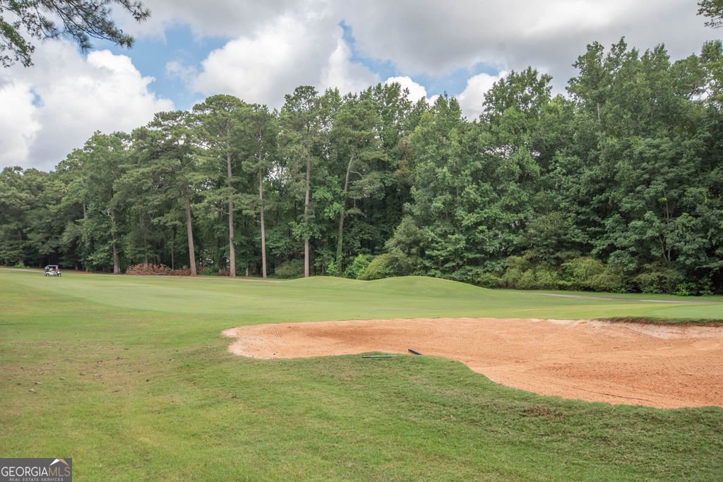 512 Golfview Drive Peachtree City - Photo 45