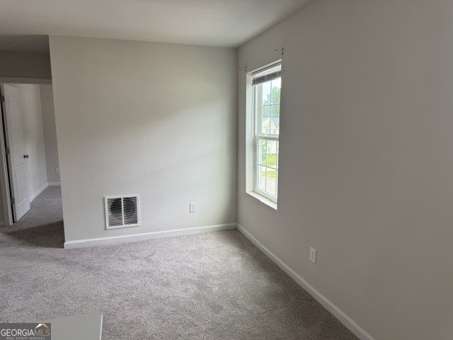 130 Catalpa Road Milner - Photo 11